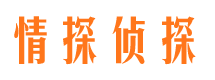 滨海新区市私人侦探